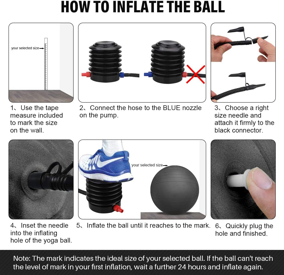 Anti-Burst Pvc Yoga Exercise Ball 55/65/75cm Heavy Duty Swiss Ball for Balance, Stability, Pregnancy and Physical Therapy, Quick Pump Included