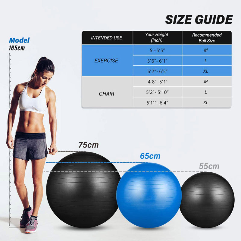 Anti-Burst Pvc Yoga Exercise Ball 55/65/75cm Heavy Duty Swiss Ball for Balance, Stability, Pregnancy and Physical Therapy, Quick Pump Included