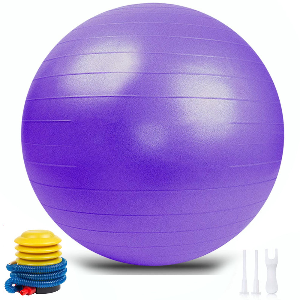 Anti-Burst Pvc Yoga Exercise Ball 55/65/75cm Heavy Duty Swiss Ball for Balance, Stability, Pregnancy and Physical Therapy, Quick Pump Included