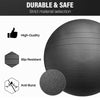 Anti-Burst Pvc Yoga Exercise Ball 55/65/75cm Heavy Duty Swiss Ball for Balance, Stability, Pregnancy and Physical Therapy, Quick Pump Included